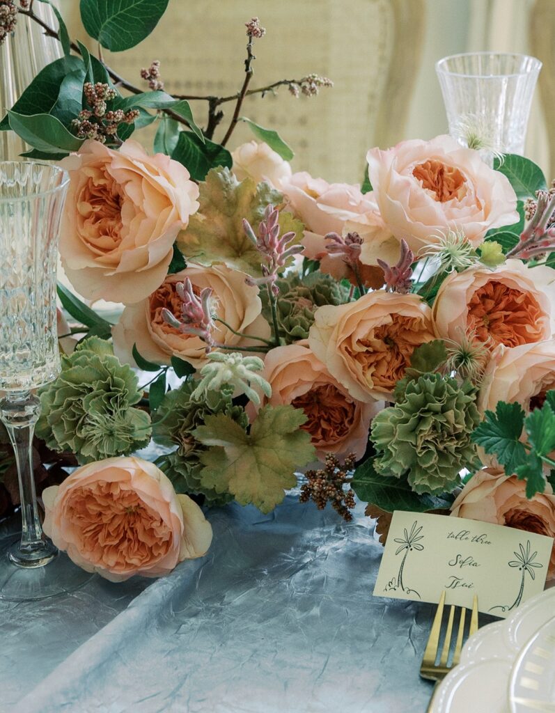 close up of David Austin coral rose